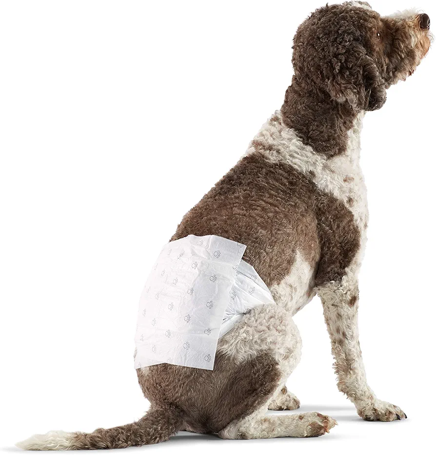 Amazon Basics Pañales desechables para perros macho, L, paquete de 30, color blanco