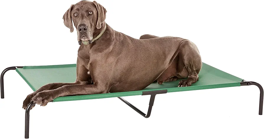 Amazon Basics - Cama elevada refrescante mascotas para Perro, Verde, XX-Large, 153 x 94 x 23 cm (L x An x Al)