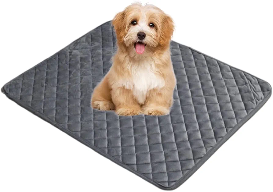 YNYCIPZ Mantas para Camas para Perros,Alfombra para Mascotas, Manta para Perros Impermeable y a Prueba de orina, Funda para Muebles Lavable por Ambos Lados, 62 * 50 cm (Gris Oscuro)