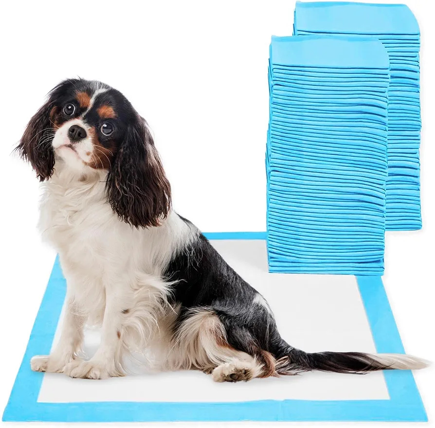 Empapadores Perros, 60x60 cm, (100 Unidades) CIVINZON, Alfombrillas Higiénica Desechables para Mascotas, Toallitas de Entrenamiento y Adiestramiento, Absorbentes, Resistente a Prueba de Fugas