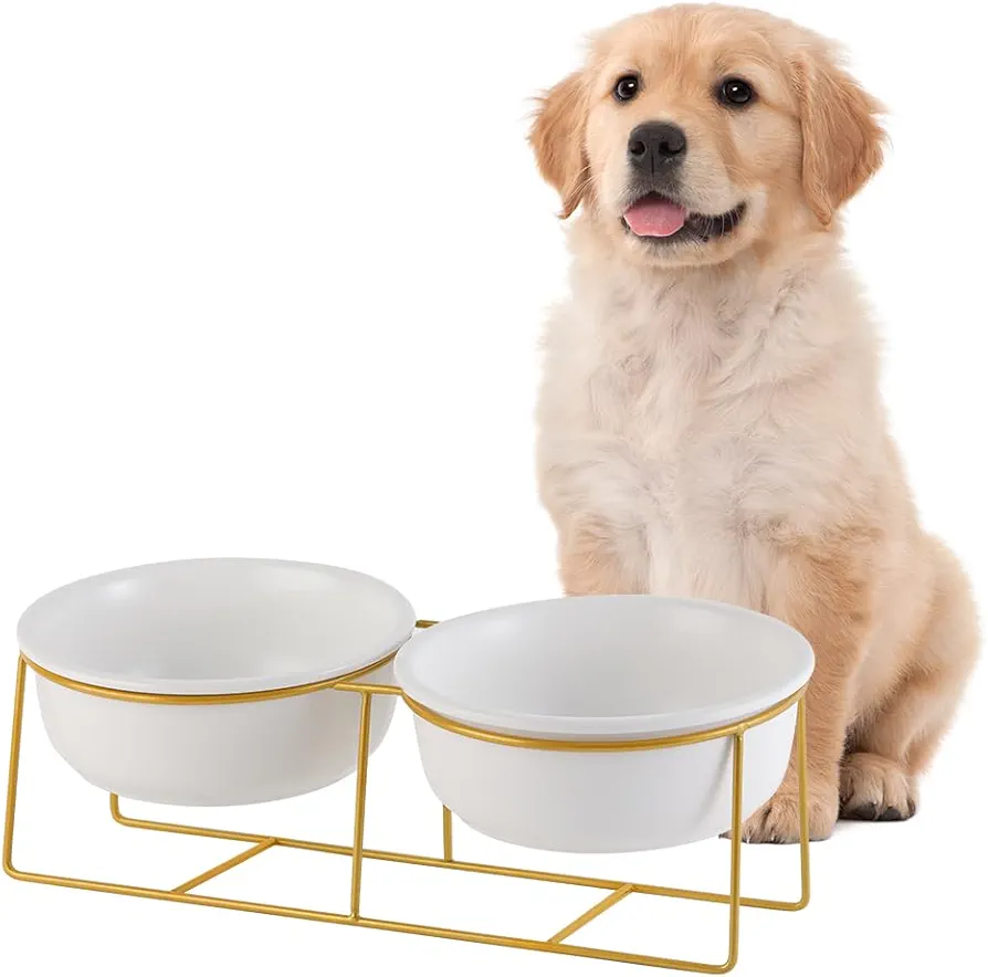 Bebedero y Comedero Perro Elevado - Doble Cuenco Perro Ceramica con Soporte de Metal - Comedero Gato Alto Antivomito - Bol de Comida y Agua para Perros Pequeños y Medianos y Gatos Grandes - 2 x 800 ml