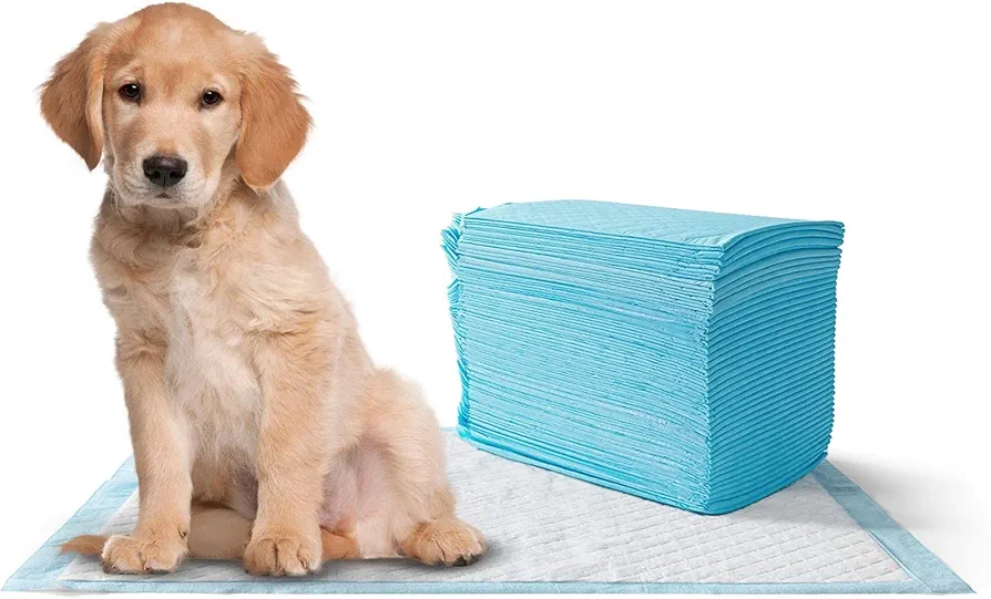 MISTER ZOO – Empapadores para Perros con Superficie de Secado rápido, Almohadillas absorbentes para adiestramiento de Mascotas y Cachorros a Prueba de Fugas. Tamaño S (33 x 45 cm)