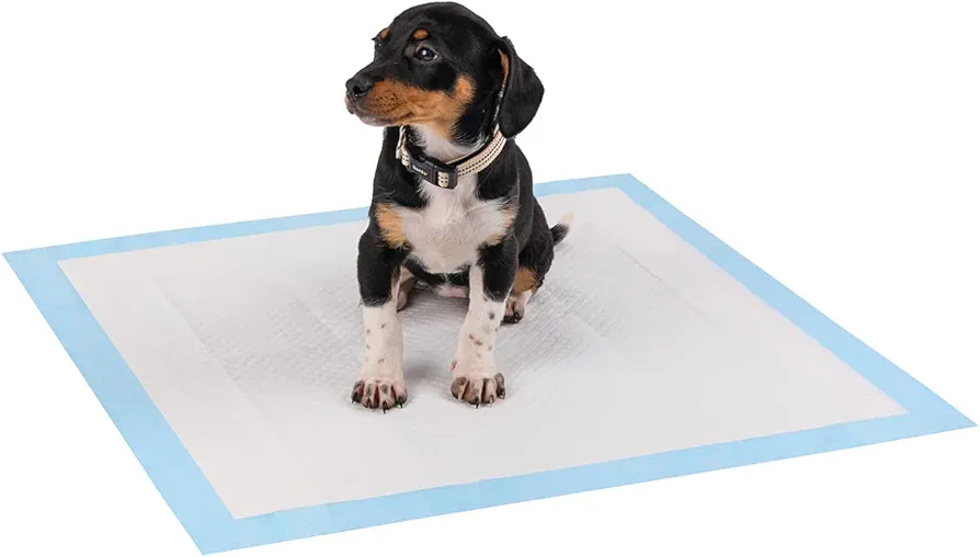 lionto Alfombrilla de Entrenamiento para Cachorros, 6 Capas con Tiras Adhesivas, 50 Unidades 60x60 cm, a Prueba de Fugas y Alta Capacidad de absorción para Animales Enfermos e incontinentes, Azul