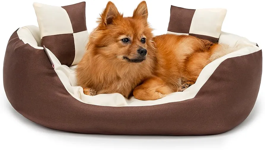 lionto Cama para Perros 4 en 1 cojín para Perros Cesta para Perros con cojín Reversible, (S) 65x50 cm Marrón/Beige