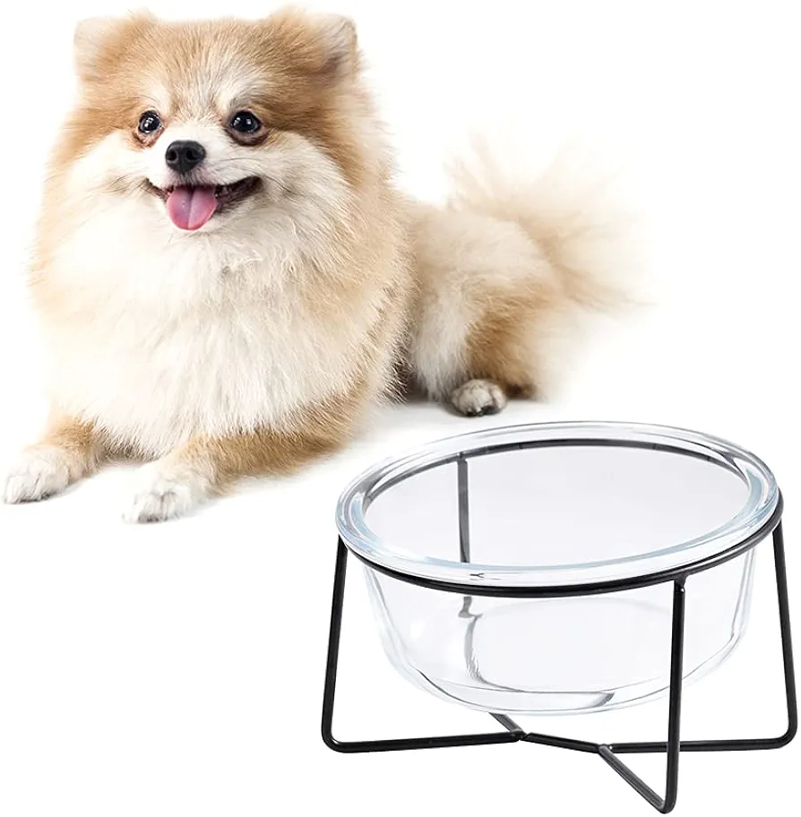 Comedero Gato - Comedero Perro Elevado con Soporte - Comederos y Bebederos para Perros Pequeños y Gatos - Cuenco Gato Cristal para Agua y Comida - 450ml