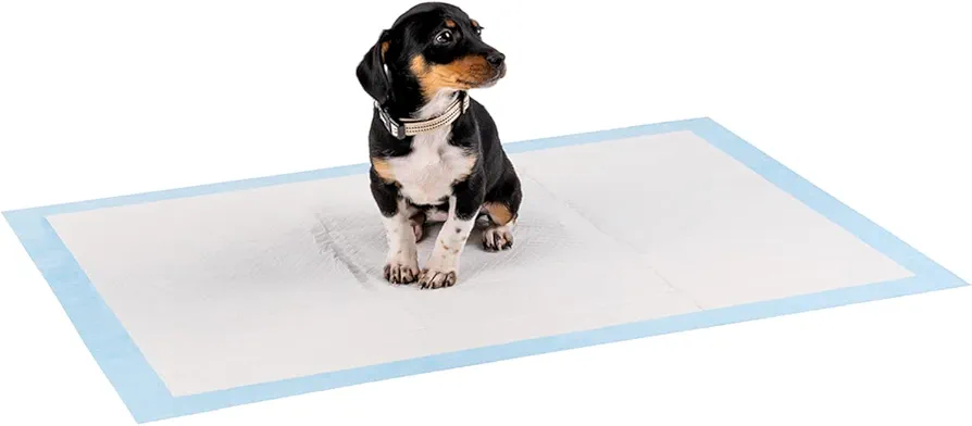 lionto Alfombrilla de Entrenamiento para Cachorros, 6 Capas con Tiras Adhesivas, 100 Unidades 60x90 cm, a Prueba de Fugas y Alta Capacidad de absorción para Animales Enfermos e incontinentes, Azul