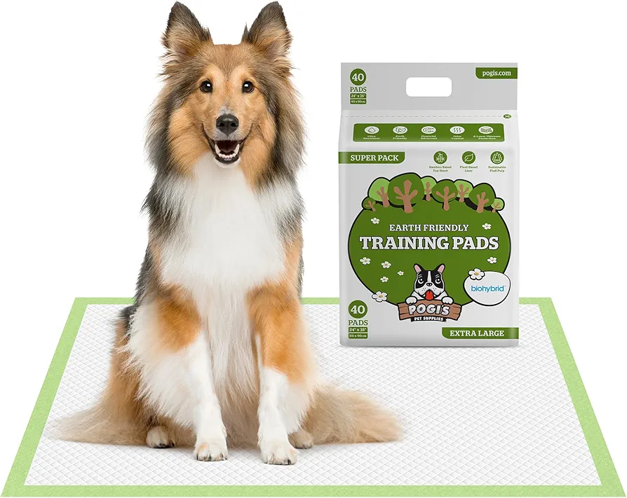 Pogi's Training Pads - Toallitas de Entrenamiento para Perros (40 Unidades) (60x90cm) — Extra Grandes, Súper Absorbentes, Almohadillas de Entrenamiento Ecológicas para Perros Medianos a Grandes