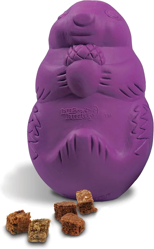 Juguete para perros Busy Buddy Squirrel Dude de PetSafe - Juguete dispensador de golosinas – Pequeño