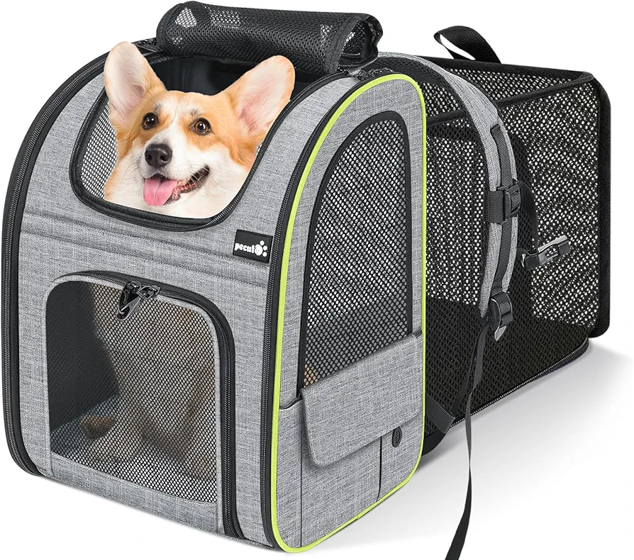 Pecute Transportin Gato Mochilas para Gatos y Perro Bolsa para Mascotas Expandible y Plegable, Carga Máxima 10 kg, para Viajar en Tren/automóvil/Restaurante/avión (Gris, XL,Ventana de Malla)