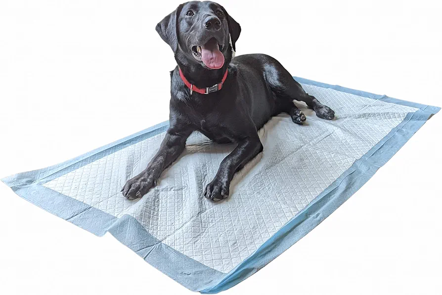 20 Empapadores para Perros tamaño XL 80x150cm Grado Veterinario Superabsorbentes hasta 2300 ml